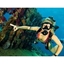 Picture of Ocean College PADI Scuba Dive Course - 2 Days
