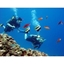 Picture of Scuba Diving - from Fethiye