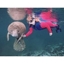 Picture of Swim With Manatees Florida