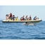 Picture of Dolphin Watching in the Algarve