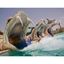 Picture of Yas Waterworld, Abu Dhabi