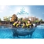 Picture of Swimming With Dolphins at Atlantis The Palm Dubai