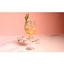 Picture of Cocktail Dog - St Moritz Spritz ? - Medio Box - 6 cocktails