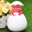 Picture of Kids Water Spray Dinosaur Egg Pink