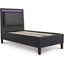 Picture of Standard Bed| Single| Black| Contemporary Style